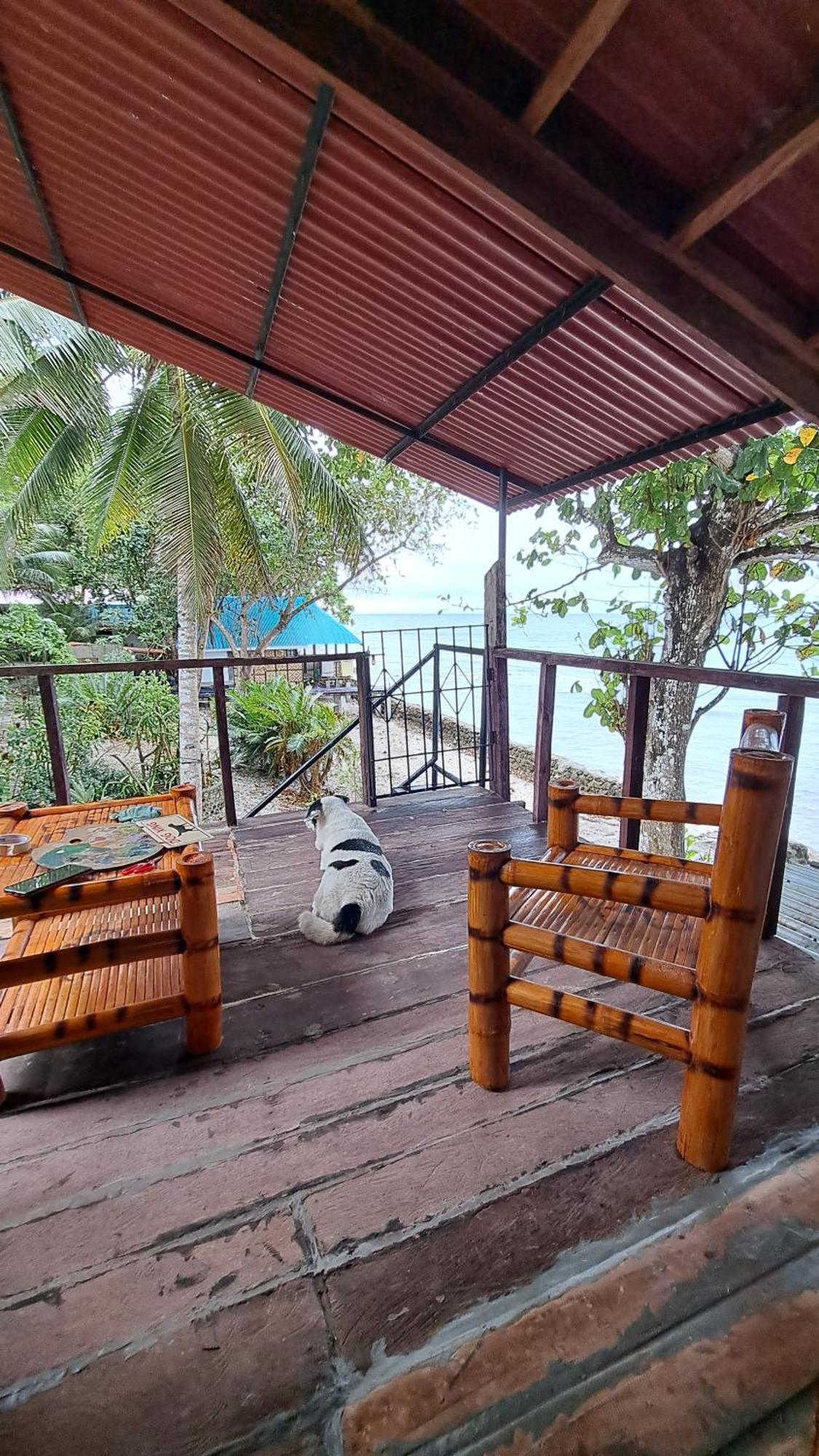 Paseo Del Mar Seaside Inn Jagna Bagian luar foto
