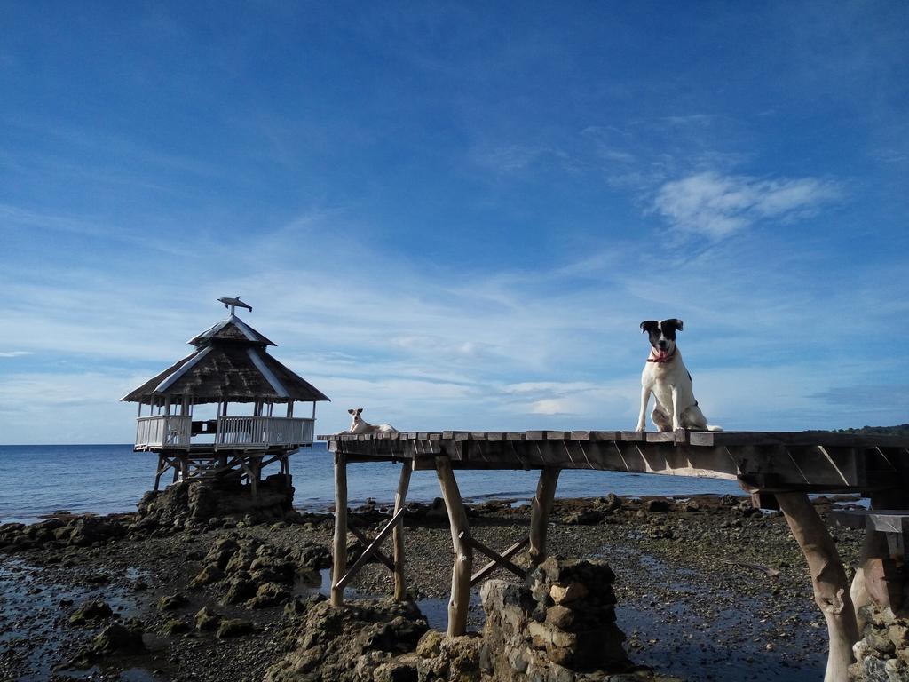 Paseo Del Mar Seaside Inn Jagna Bagian luar foto